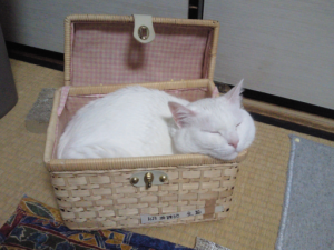 2014020309253370a