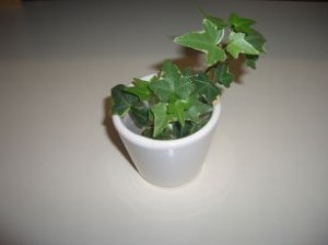2009122311002470d