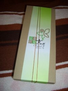 20091230200022a21