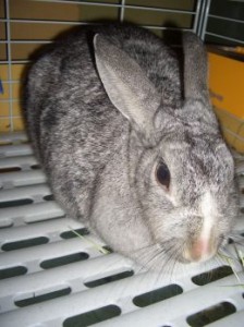 20100102135840cac