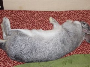 201001022222152c1