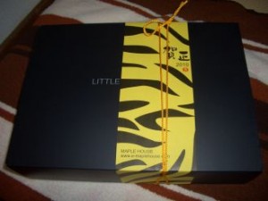 20100103225609748