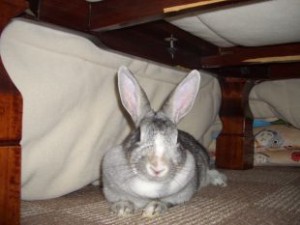 20100127225929c01