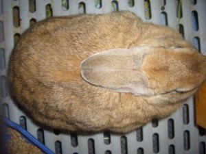 20100130222721800