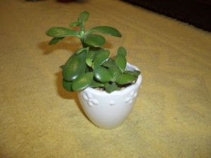 20100206134609973