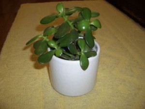 20100206134616802