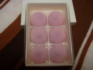201002091538506e5