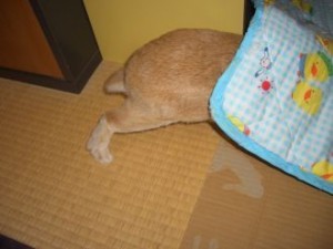 20100211112650efb
