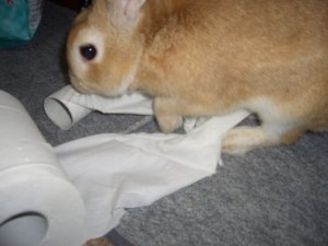 20100214105203144