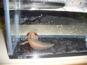 20100214164800c0b