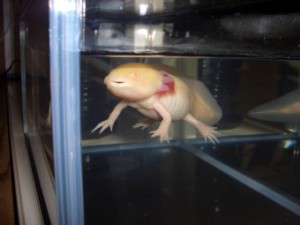 20100217224505e9b