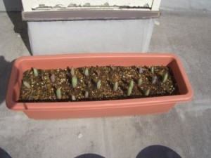 20100224200105161