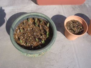 20100224200112b2d