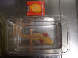 20100302224256173