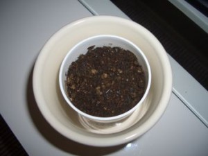 20100309142940046