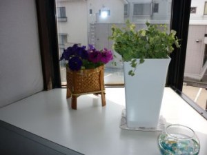20100419170428259