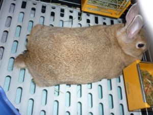 20100507224210301