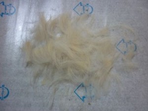 20100517173507335