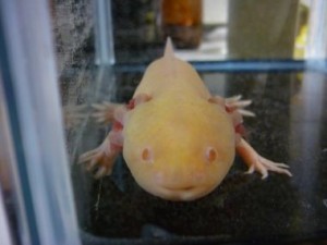20100518230712cb3