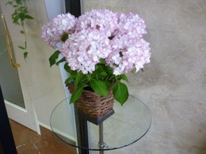 201005272255167a8