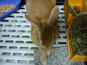 20100613201143d02