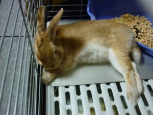 20100614150831ec1