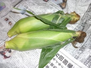 201006252331549c4
