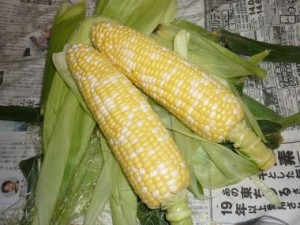 2010062523320162a