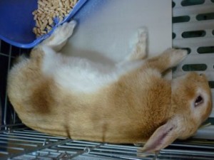 2010062722075193b