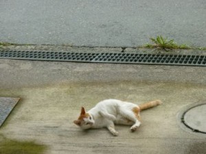 201007052245572c6