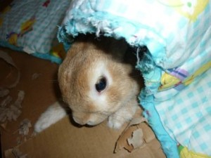20100715215425a18