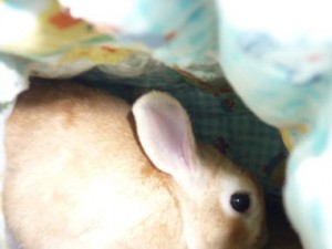 201007152154302bd
