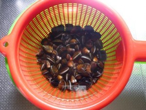 2010072615071558b
