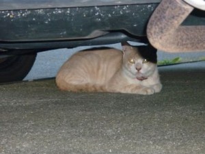 20100726150726ba4