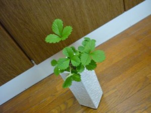 20100812104148626