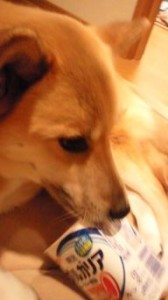 20130419130335484