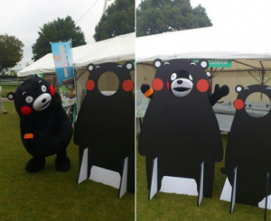 kumamonn